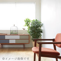 【1cm単位】プロ仕様ブラインド幅96cm×高78cm＜遮熱タイプ＞ ctb835-96x78r48 1セット トーソー（直送品）