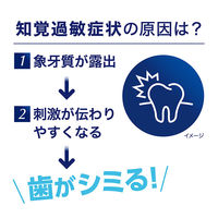 シュミテクト やさしく歯周ケア歯ブラシ 極細シルキー毛 知覚過敏ケア 薄型レギュラー ふつう 1本 Haleonジャパン