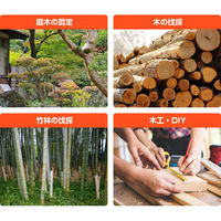 ファミリー・ライフ 充電式コードレス2WAY高枝チェーンソー 8点セット 04169 1個