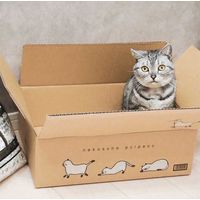 【限定】猫砂 紙砂 パルプエコ（pulpeco）大容量でお得 60L（10L×6袋）オリジナル  限定