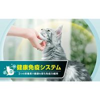 ピュリナワン 猫 避妊・去勢した猫の体重ケア チキン 2kg 3袋 キャットフード ネスレ日本