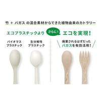 パックスタイル エコカトラリー BBカトラリー スプーン 単袋入 150mm 663603 1袋(100個)