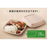 パックスタイル バガス容器 BB弁当 N24-20A ラミ(5枚入) 00678175 1袋(1個)（直送品）