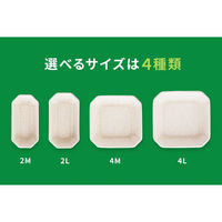 パックスタイル バガス容器 WBフルーツ 2M 615415 1袋(50個)（直送品）