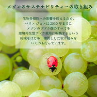 ペリエ ジュエ グラン ブリュット エコロジカル ボックス シャンパーニュ 750ml 1本 シャンパン ギフト箱入り ペルノ・リカール