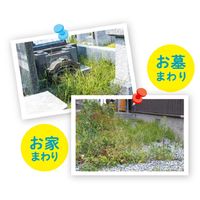 除草剤 水に溶かすボール型除草剤 つめかえ用 2個 ウエルコ