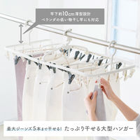 ダイヤ フランドリー・つけかえ干し分け角ハンガー52 058127 1個