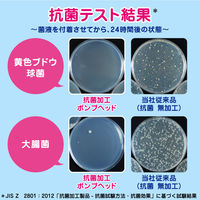 【アウトレット】ビオレu 泡スタンプハンドソープ ハートの泡で出てくるタイプ　本体250ml＋詰替380ml 2セット 花王【泡タイプ】