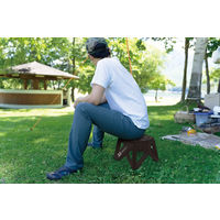 トレードワンセノ・ビー ソリッドLG 高さ23cm 折り畳み踏み台 耐荷重100kgブラック 307841セット（2個）