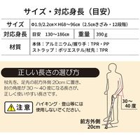 竹虎 バンブーステッキ ワイド ブラック 104980 1本