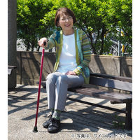 竹虎 バンブーステッキ ブロンズ 104941 1本