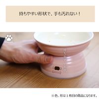 ねこ脚付き フードボウル ペット用 みやわん ホワイト 宮本産業