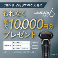パナソニック ラムダッシュPRO 6枚刃 ES-LS9Q-K 1個