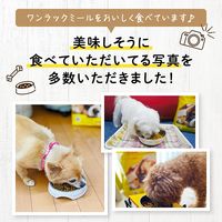 ワンラックミール ドッグフード ドライ 成犬用 総合栄養食 国産 3kg（500g×6袋）1袋 森乳サンワールド 犬