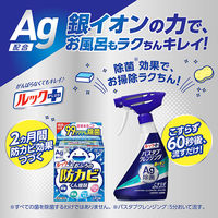 ルックプラス バスタブクレンジング 銀イオンプラス 香りが残らないタイプ 本体 500ml 1個 ライオン