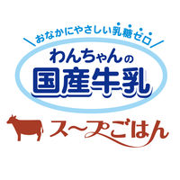 ドギーマン わんちゃんの国産牛乳スープごはん ビーフと緑黄色野菜入り 国産 80g 20個 ドッグフード 犬 ウェット パウチ
