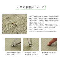 イケヒコ・コーポレーション い草ラグ 抗菌防臭 カラフルブロック 1400×2000mm ブルー 1050140042303 1枚（直送品）