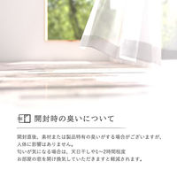 イケヒコ・コーポレーション カーペット ラグ エステラ 1330×1900mm アイボリー 1321530140201 1枚（直送品）