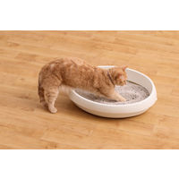 猫砂 クリーンサンド 鉱物タイプ 無香料 5L 1袋 アイリスオーヤマ