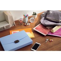 ライオン事務器 ダブルポケットホルダー ミルクティー(MT) WP-123 13704 1冊