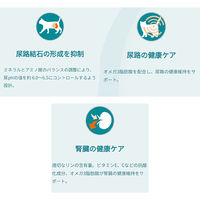 （セット品）ピュリナワン 猫 下部尿路 F.L.U.T.H.ケア チキン ＋ サーモン＆ツナ 2kg 各1袋 キャットフード