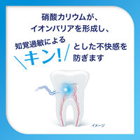 シュミテクト コンプリートワンEX プレミアム フレッシュシトラス 90g 歯磨き粉 1本 Haleonジャパン