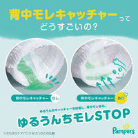 パンパース おむつ パンツ はいはいMサイズ（5～10kg）1パック（62枚入）さらさらケア ウルトラジャンボ P&G