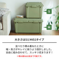 天馬 #樹脂と暮らすーR トランクボックスS 110013941 1個