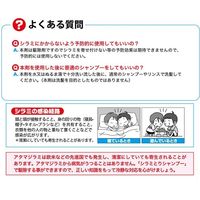 アースシラミとりシャンプー 100ml 3個箱セット アース製薬　専用くし付き シラミ 駆除 フローラルの香り【第2類医薬品】