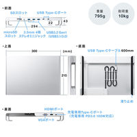 サンワサプライ ダイレクト:Type-C スタンドドッキングステーション 400-HUB089S 1個（直送品）