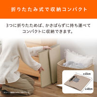 アイリスオーヤマ デスクパネルヒーター スポット暖房 足元ヒーター デスクヒーター 暖房器具 APH-16B-P 1台