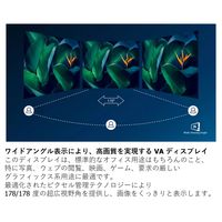 フィリップス 21.5インチ液晶モニター 221S9A/11 1台