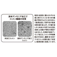 アンドレスケッティ A-741  抗菌防臭・防縮長袖ブルゾン LL パウダーグリーン コーコス信岡 1着（直送品）