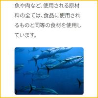 無一物 愛犬用 かつお 国産 60g 48袋 はごろも ドッグフード ウェット パウチ