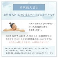 ホットタブ シャワー 重炭酸入浴剤 10回分 1パック（30錠入：1回3錠）医薬部外品 ホットアルバム炭酸泉タブレット