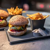 コジオル KOZIOL MOVE トレイ 230mm AGY 4002942633410 1個