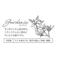 【お試し1回分】 Furo（フューロ）入浴剤 フューロベーシック 1DAY 15g 個包装 1個（3錠入）サンパルコ