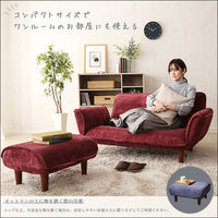 ホームテイスト クーリス 肌触りが良いコーデュロイソファ 2人掛 オットマンセット ブラウン SH-07-CDS-S 1台（直送品）