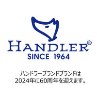 ナイトラン トレドッグ反射平リード 中型犬用 Mサイズ 黒 全長120cm 1個 アースペット