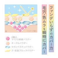 クリアラスト フェイスパウダーN 薬用リンクルオークル SPF40・PA+++ 12g 3個 BCL カンパニー