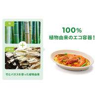 パックスタイル バガス容器 BBカレー C-1 ラミ 新 450枚(50枚×9) 00701256 1セット(450枚(50枚×9)入)（直送品）