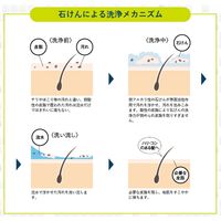 シャボン玉石けん シャンプー ボディソープ メンズシャボン ソープシャンプー 本体 520ml