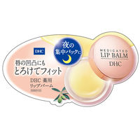 DHC 薬用リップバーム ×2個 無香料 保湿リップクリーム 高保湿 夜パック ディーエイチシー