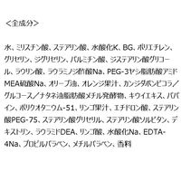 クレンジングリサーチ ウォッシュクレンジング N 120g 2個 メイク落とし 洗顔 スクラブ BCL カンパニー