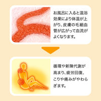 バブ 至福の花めぐり浴 1箱（12錠入） 入浴剤 透明タイプ 花王