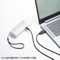 サンワサプライ Bluetooth対応2次元バーコードリーダー(抗菌) BCR-BT2D3W 1個