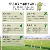 【玄関渡し】 萩原 フリーカット裏付き　い草カーペット　みすず　江戸間10畳  352×440cm（直送品）