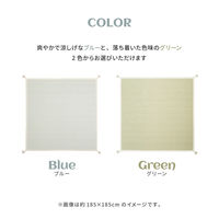 【玄関渡し】 萩原 洗えるインド綿ラグ　アルト　すべり止め付き グリーン 185×240cm（直送品）