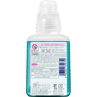 ナノックス ワン（NANOX one）PRO プロ 本体 380g 1個 洗濯 洗剤 ライオン