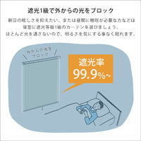 ホームテイスト 壁空け不要 つっぱりロールスクリーン 遮光タイプ イエロー SH-16-S60 1枚（直送品）
